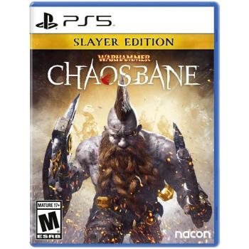 Warhammer: Chaosbane. Slayer Edition (PS5) (Рус)